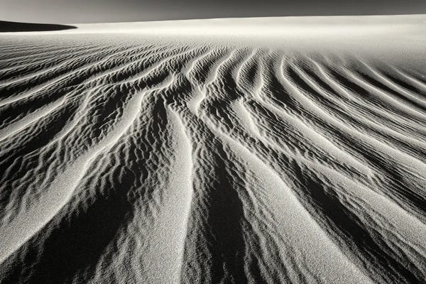 Coastal Sand Dunes: Dune Patterns by Dennis Frates