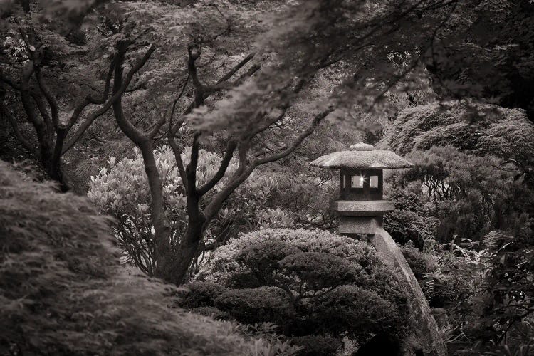 Garden Lantern