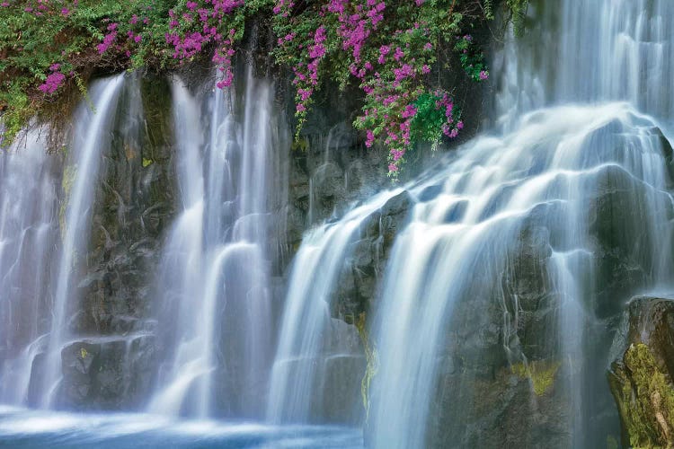 Floral Falls I