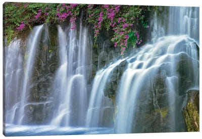 Floral Falls I Canvas Art Print - Waterfall Art
