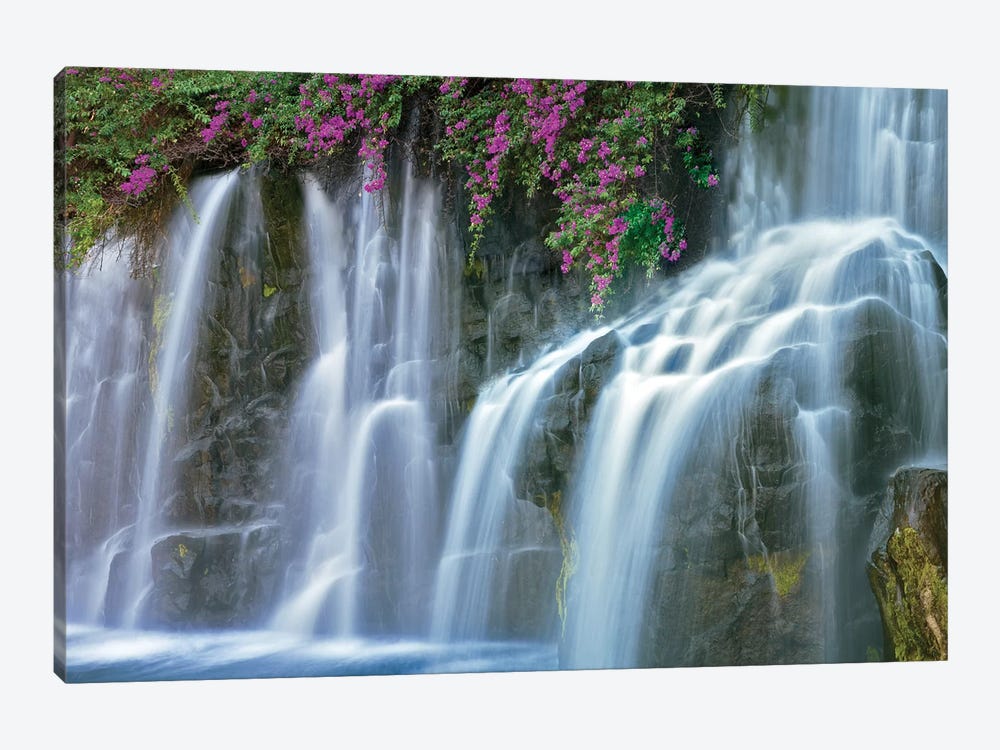 Floral Falls I by Dennis Frates 1-piece Canvas Print
