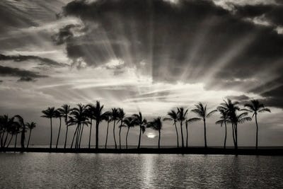 Tropical Sunrise II by Dennis Frates canvas print