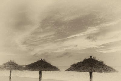 Tropical Umbrellas by Dennis Frates canvas print