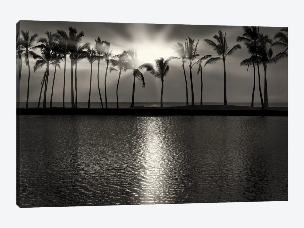 Palm Sunset II by Dennis Frates 1-piece Canvas Artwork