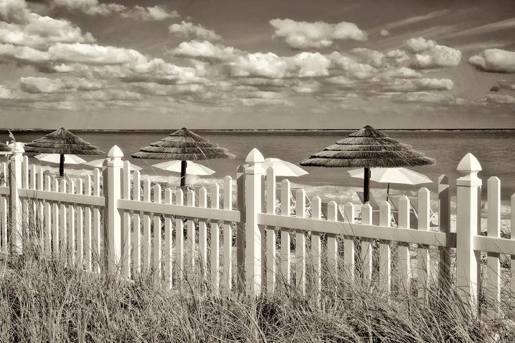 Fence And Umbrellas