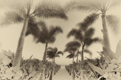 Tropical Path III by Dennis Frates canvas print