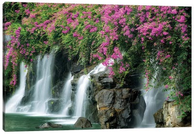 Floral Falls II Canvas Art Print - Waterfall Art
