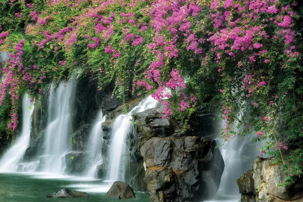 Waterfalls: Floral Falls II by Dennis Frates