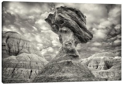 Balancing Rock Canvas Art Print - Badlands National Park