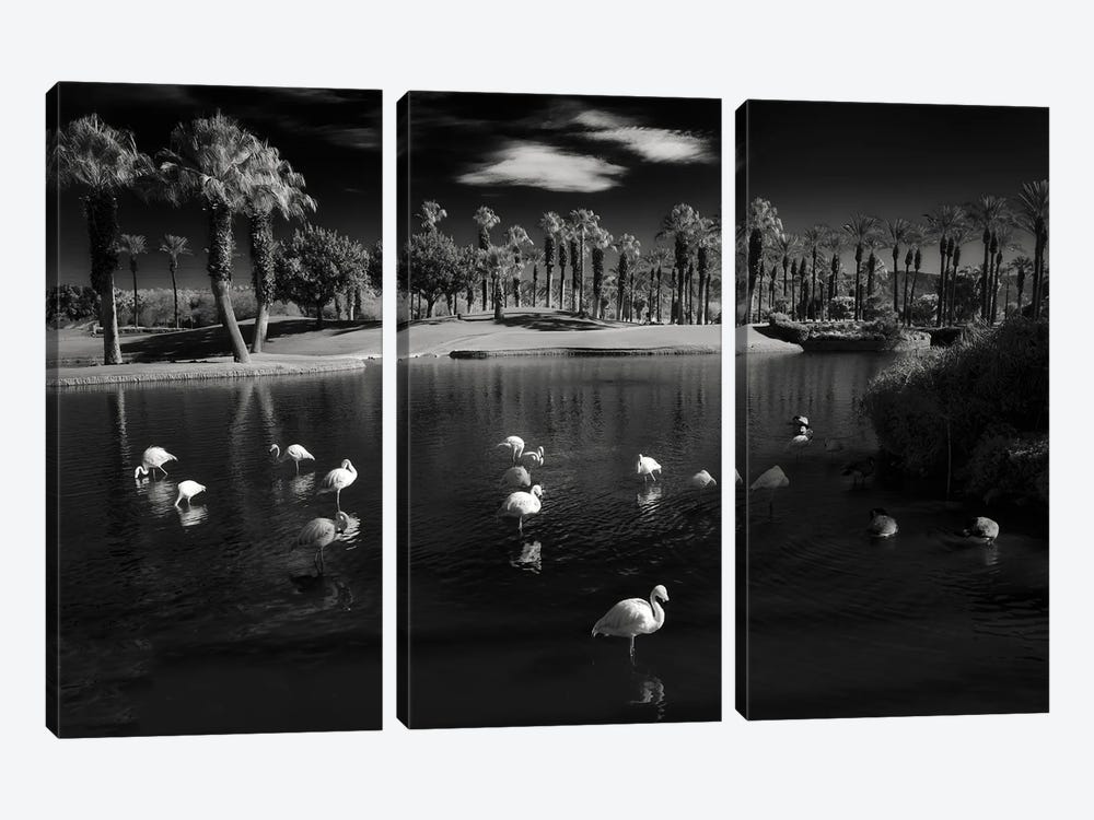 Resting Flamingos by Dennis Frates 3-piece Canvas Print