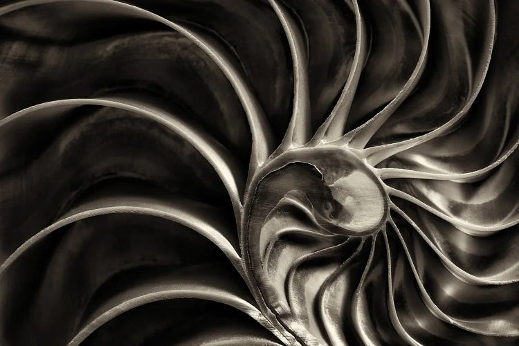 Nautilus