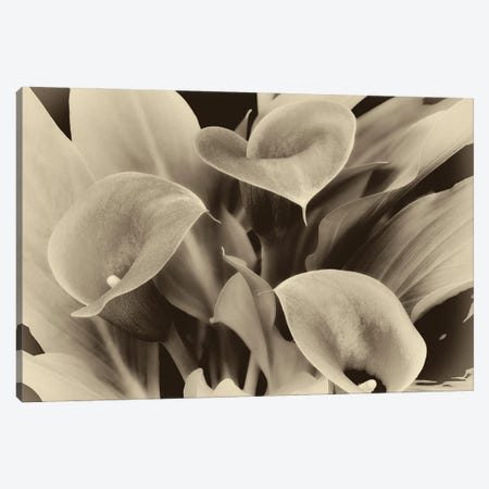 Lilies Canvas Print #DEN1262} by Dennis Frates Canvas Art Print