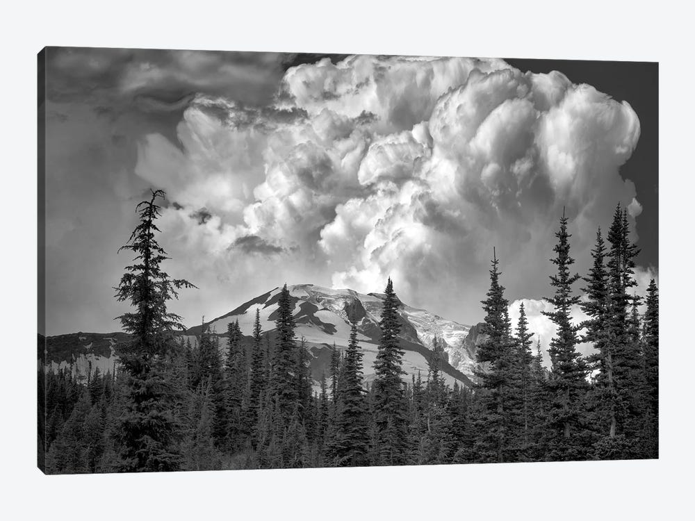 Billowy Clouds by Dennis Frates 1-piece Art Print