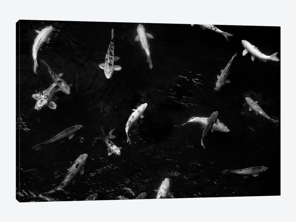 Koi From Above II by Dennis Frates 1-piece Art Print