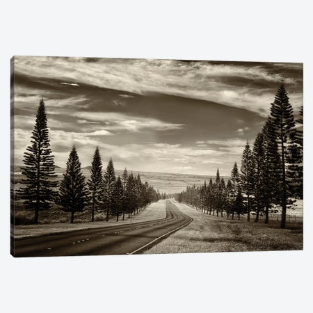 Tree Lined Road V Canvas Print #DEN1275} by Dennis Frates Canvas Print