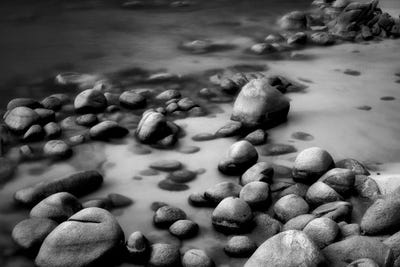 Lakes Edge by Dennis Frates canvas print