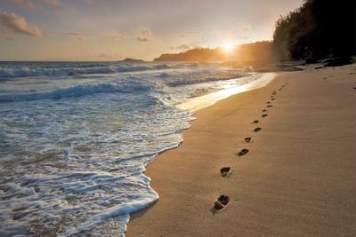 Footprints On The Sand by Dennis Frates canvas print