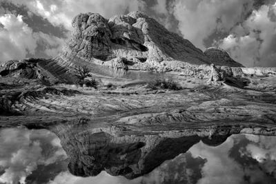 Southwest Splender by Dennis Frates multi panel art