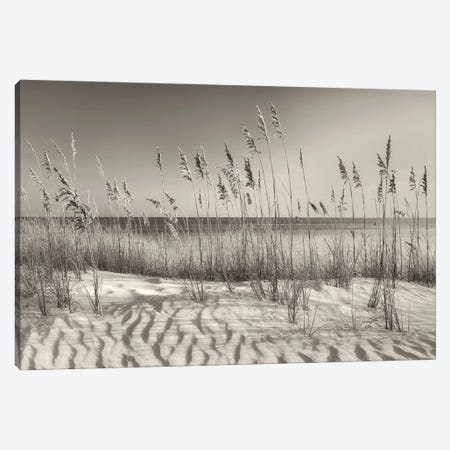 Seaside Dune Grasses Canvas Print #DEN1297} by Dennis Frates Art Print