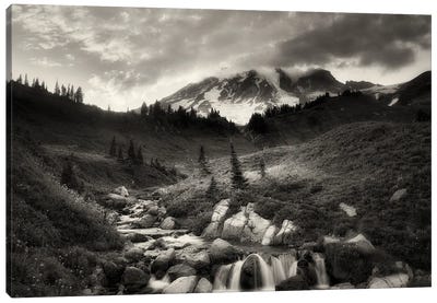 Edith Creek And Mt. Rainier Canvas Art Print - Cascade Range Art