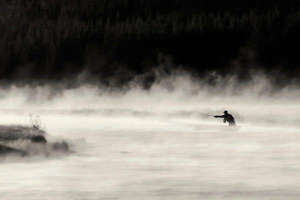 Madison Fly Fishing