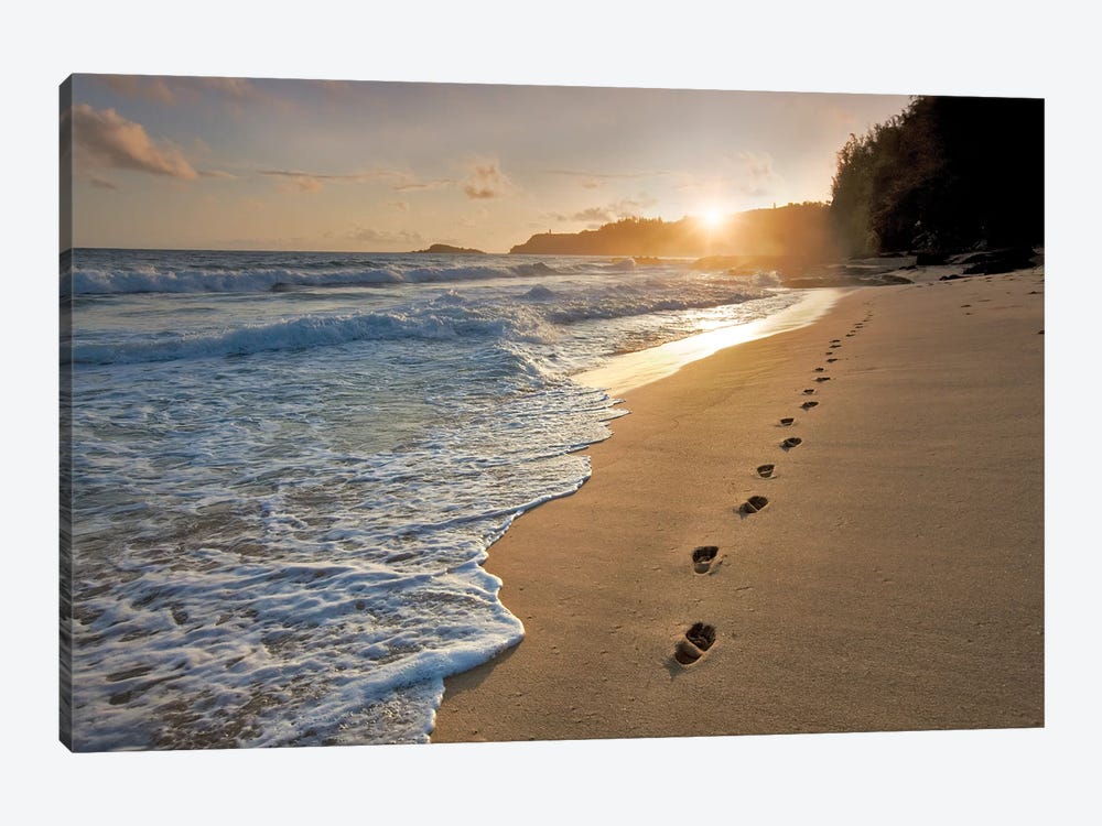 Footprints On The Sand by Dennis Frates 1-piece Canvas Art