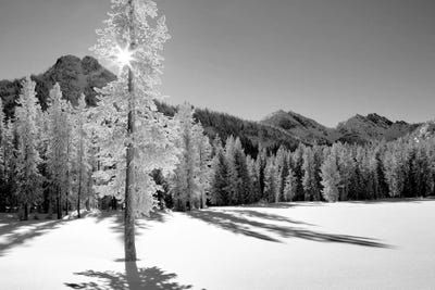 Frozen I by Dennis Frates canvas print