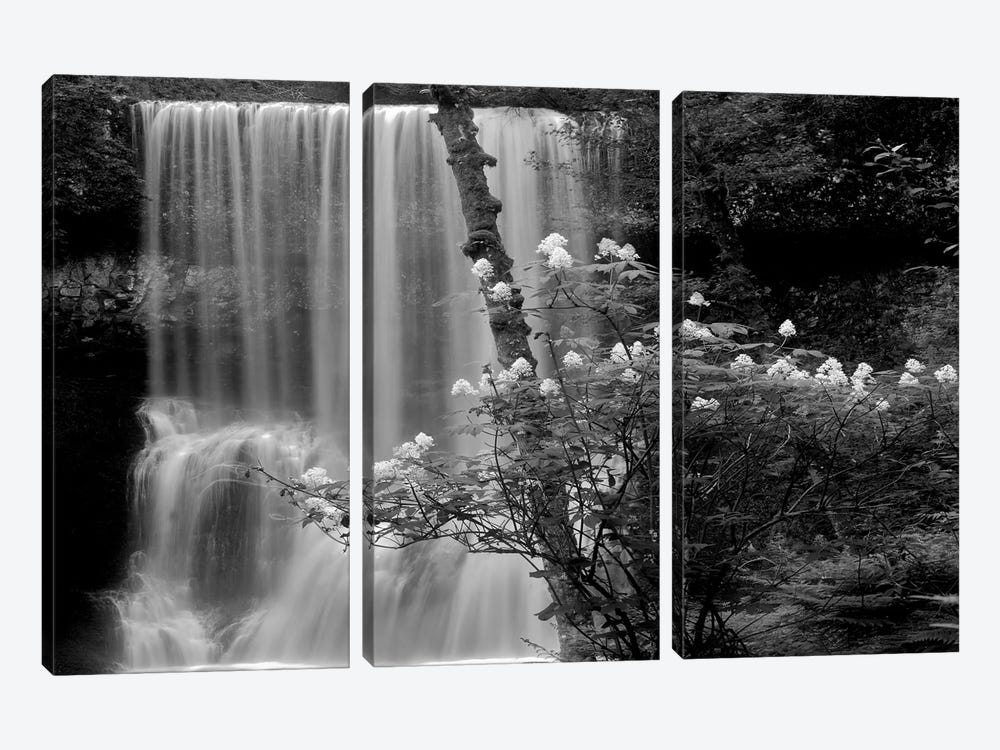 Floral Falls by Dennis Frates 3-piece Canvas Wall Art