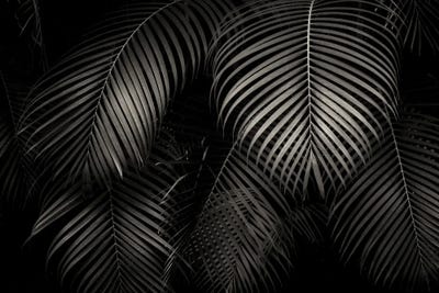 Tropical Leaf Patterns by Dennis Frates multi panel art