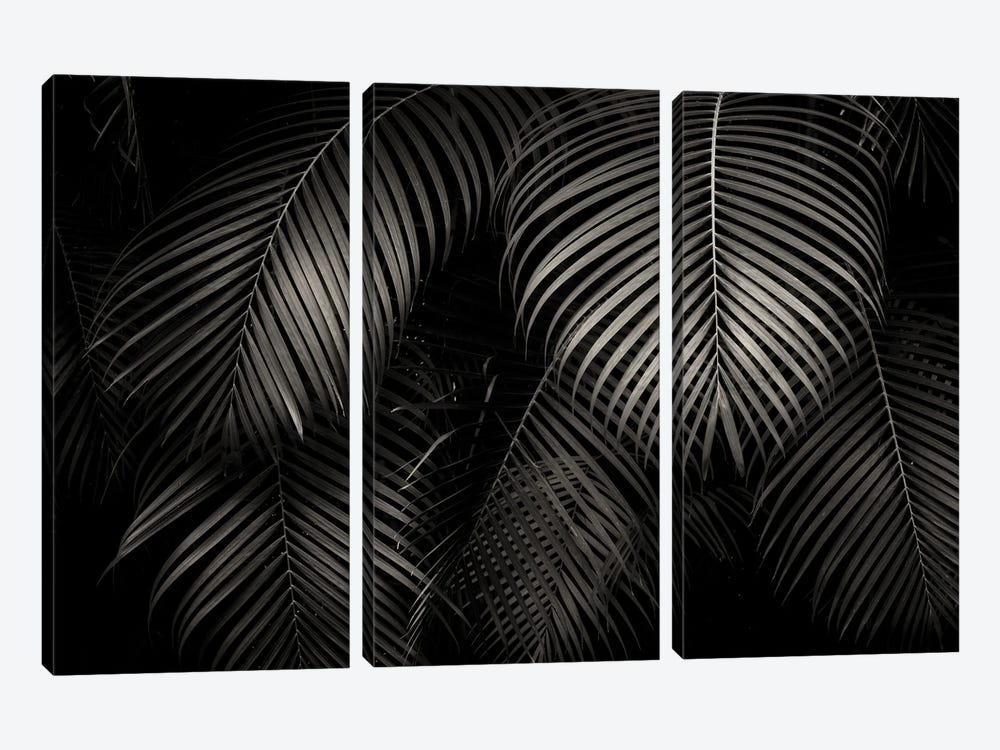 Tropical Leaf Patterns by Dennis Frates 3-piece Canvas Art