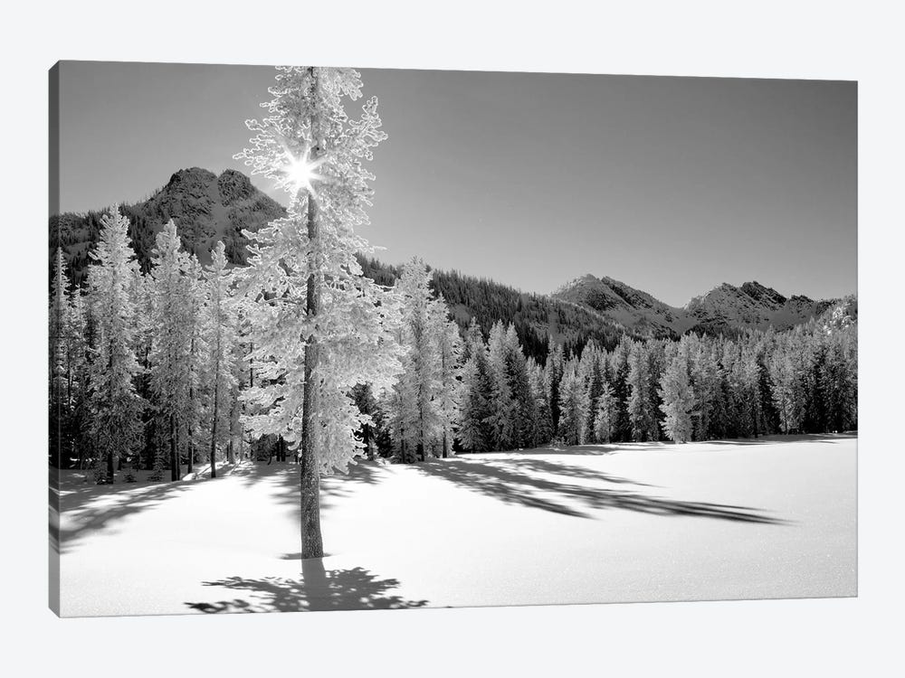 Frozen I by Dennis Frates 1-piece Canvas Wall Art