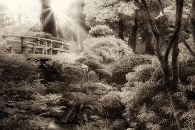 Garden Bridge by Dennis Frates canvas print