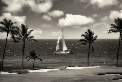 Golf Course Sailing by Dennis Frates canvas print