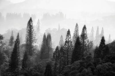 Tropical Trees IV by Dennis Frates multi panel art