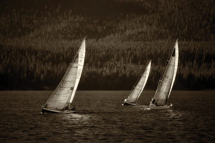 Sailboat Race