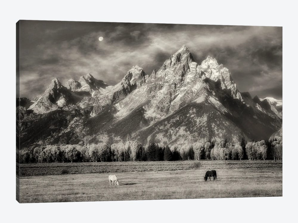 Teton Horses In Pasture by Dennis Frates 1-piece Canvas Wall Art