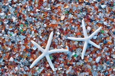Glass Beach Starfish by Dennis Frates canvas print