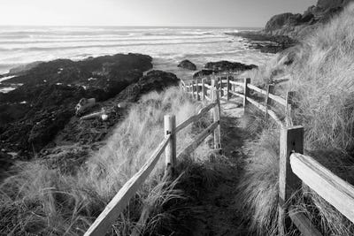 Trail To The Ocean by Dennis Frates art print
