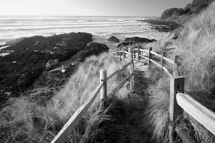 Trail To The Ocean by Dennis Frates wall art