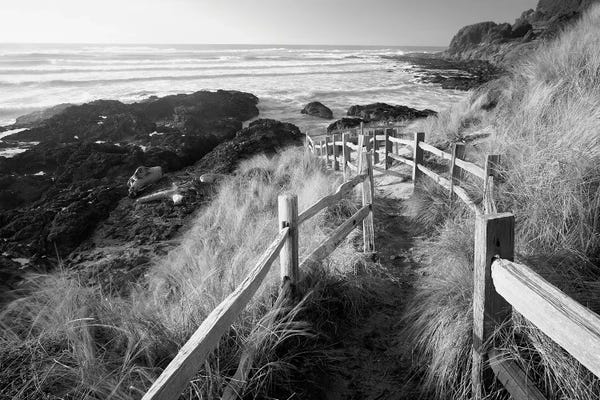 Trail To The Ocean