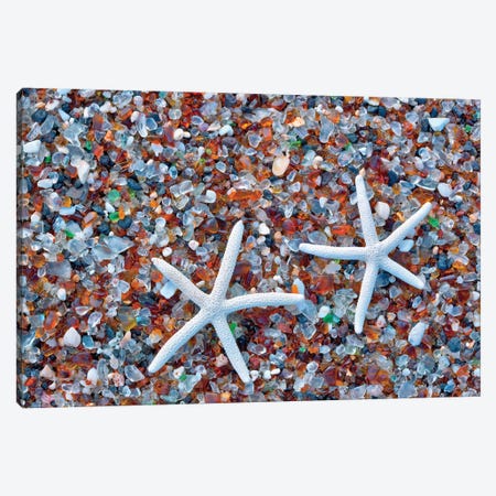 Glass Beach Starfish Canvas Print #DEN134} by Dennis Frates Canvas Art Print