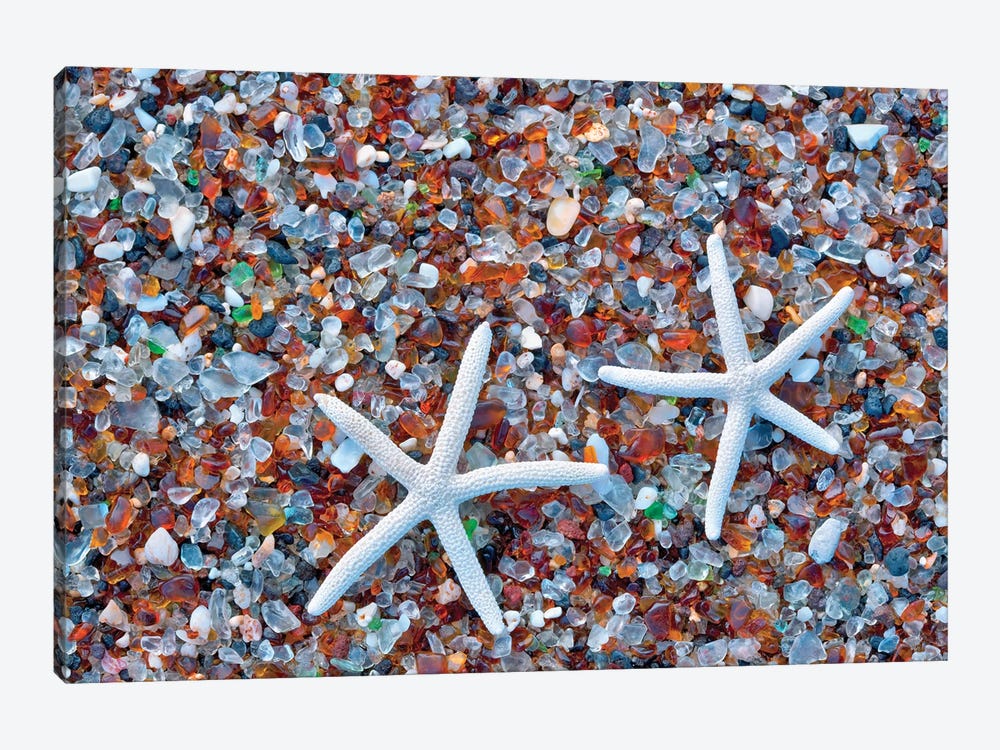 Glass Beach Starfish by Dennis Frates 1-piece Canvas Art