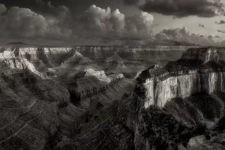 Grand Canyon by Dennis Frates wall art