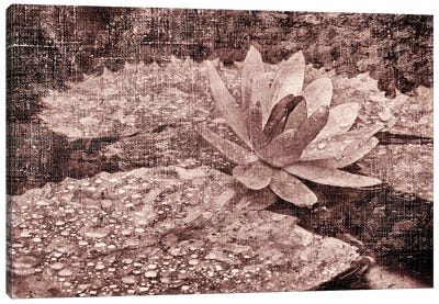 Lily Pond V Canvas Art Print - Lily Art