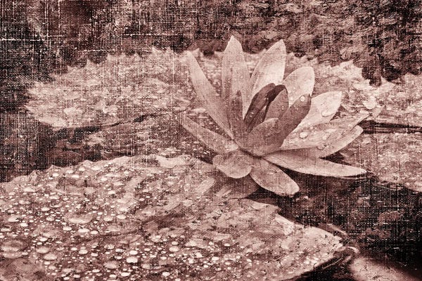 Water Lilies: Lily Pond V by Dennis Frates