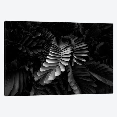 Tropical Leaves III Canvas Print #DEN1367} by Dennis Frates Art Print