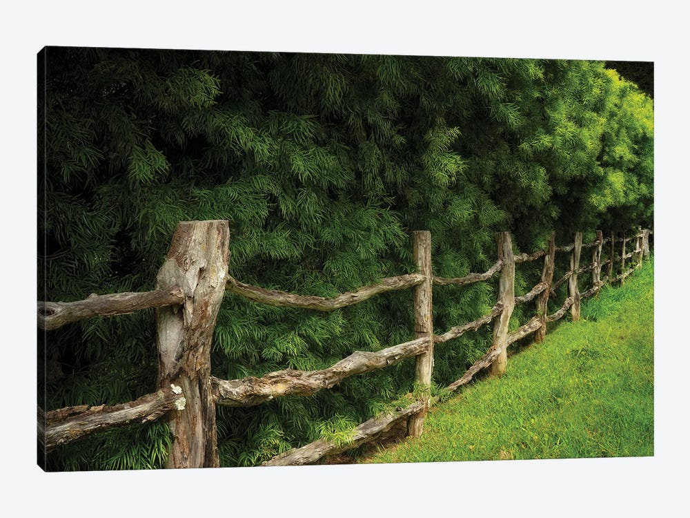 Sand Made Fence by Dennis Frates 1-piece Canvas Artwork