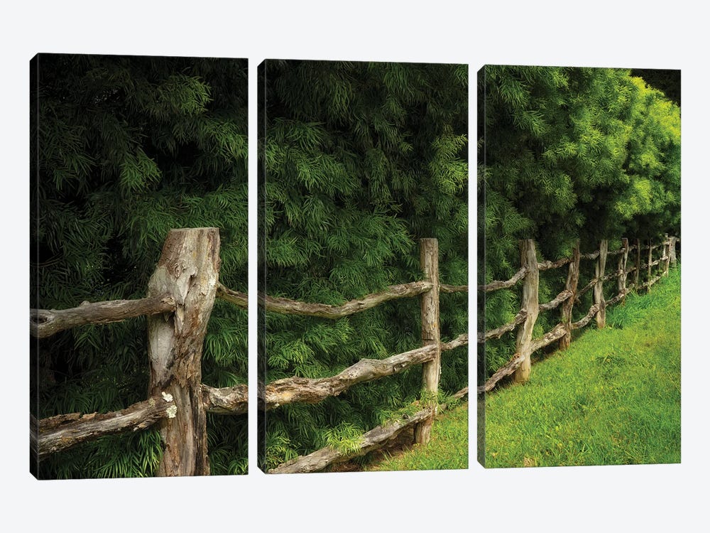 Sand Made Fence by Dennis Frates 3-piece Canvas Artwork