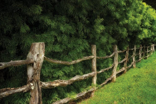 Sand Made Fence