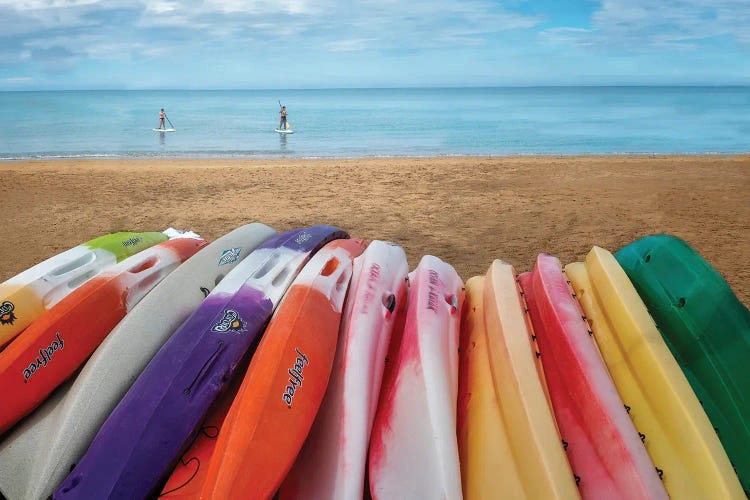Paddle Boards by Dennis Frates wall art